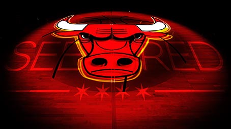 bulls-background