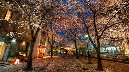 kyoto-background