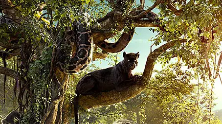 jungle-book-movie-background