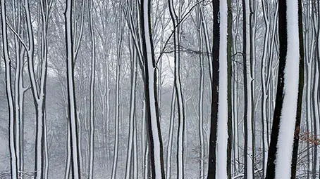 winter-background