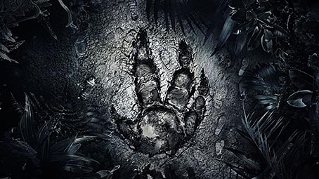 evolve-background