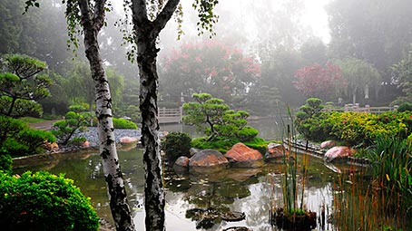 garden-background