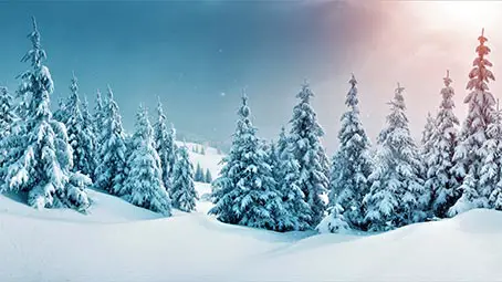 snow-background